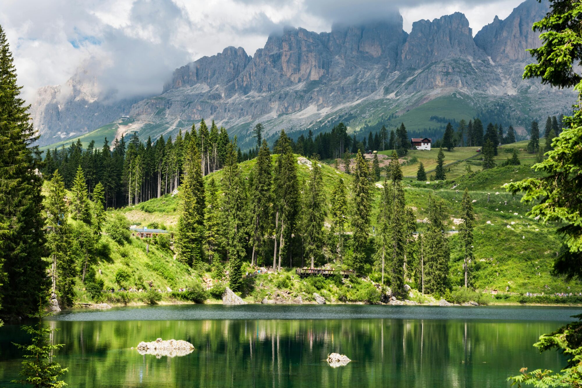 Lake surrounded by green trees